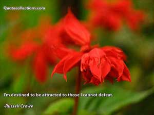 russell_crowe_quotes Quotes 3